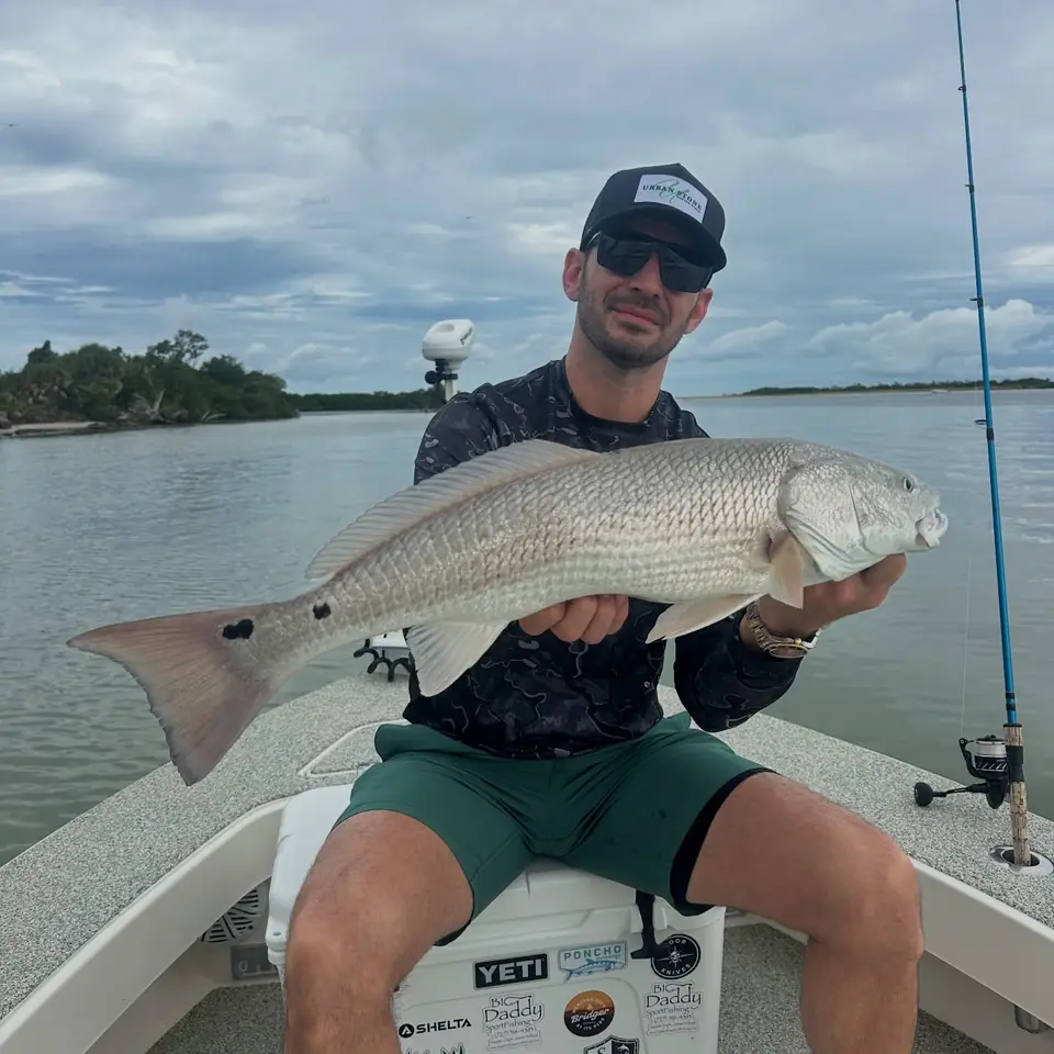 Angler holding a large redfish caught inshore in Tampa Bay with Big Daddy Sportfishing.