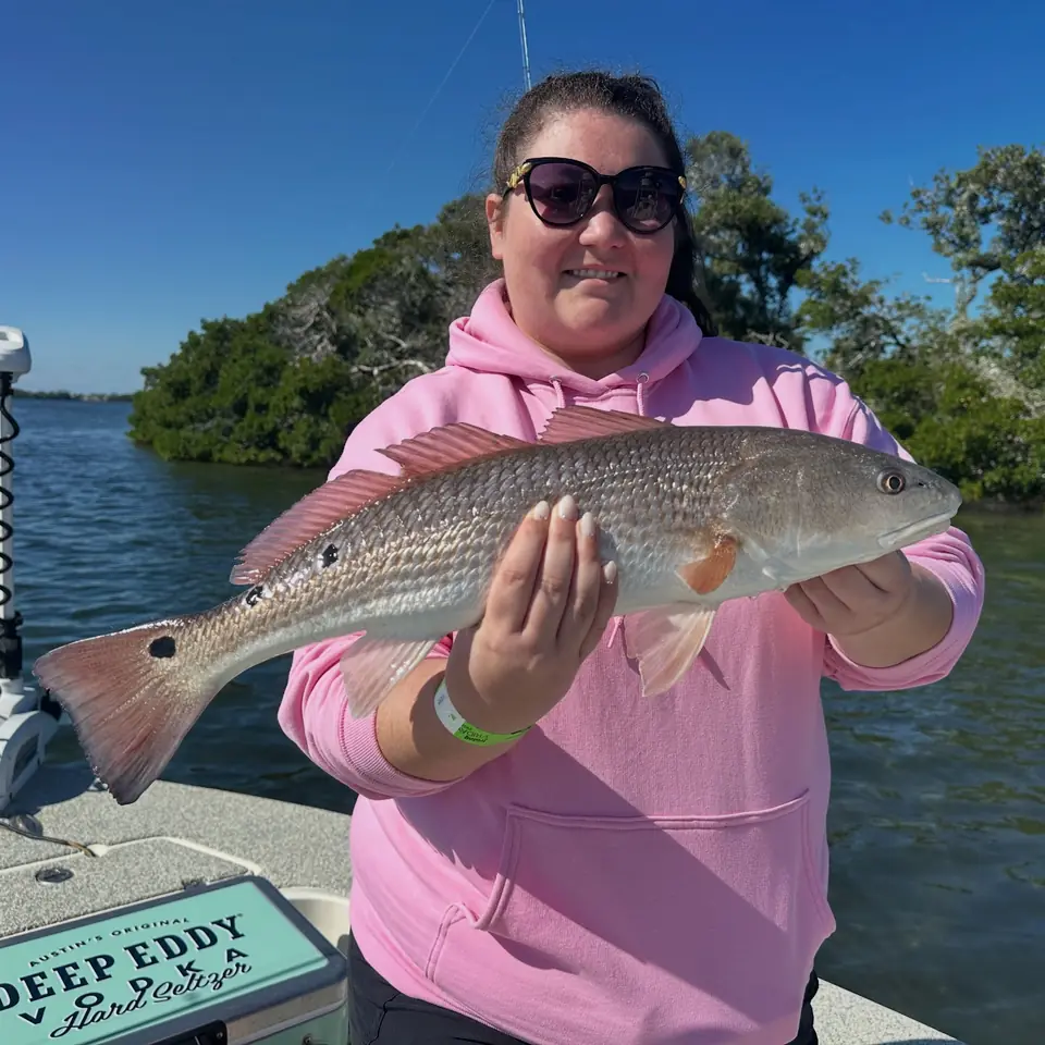 Woman holding a redfish caught on an inshore fishing charter near St. Petersburg, Florida.
