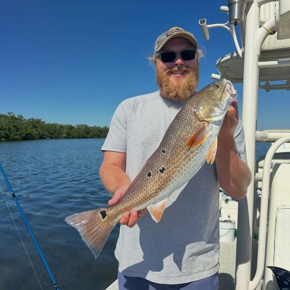 Bearded angler holding a redfish caught on a Big Daddy Sportfishing charter in Tampa Bay.