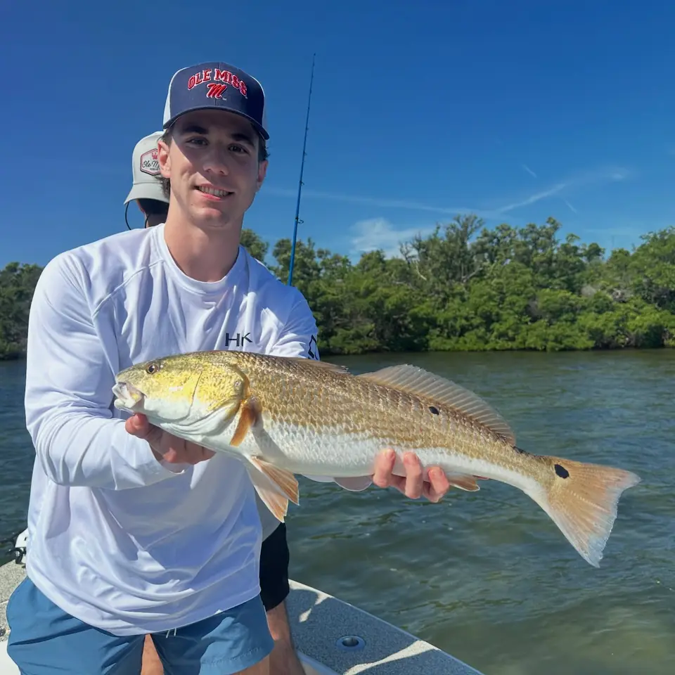 Young angler holding a redfish caught on a guided inshore fishing trip in Tampa Bay.