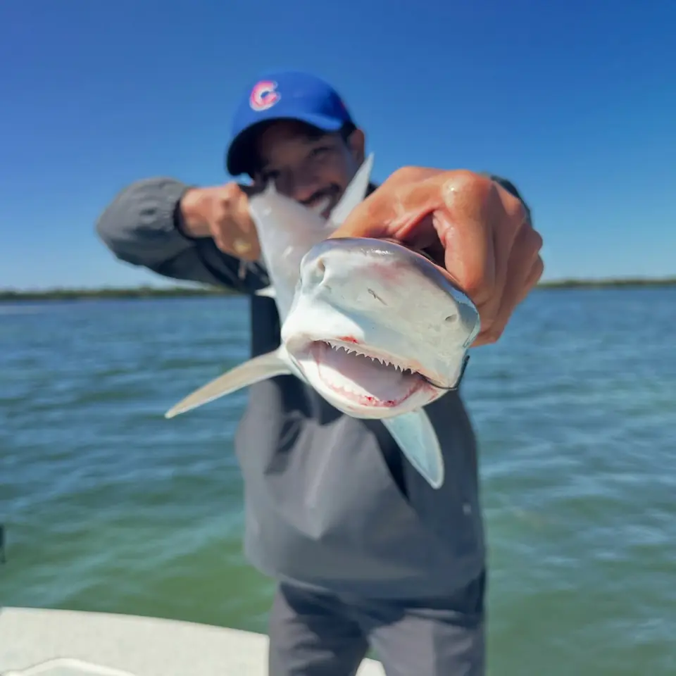 Angler holding a shark caught on a Big Daddy Sportfishing charter in Tampa Bay.