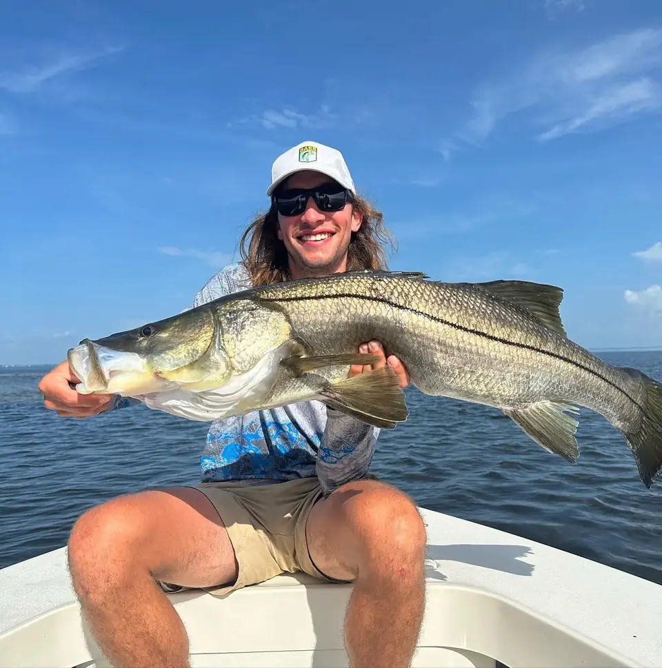 Angler holding a snook caught in Tampa Bay with Big Daddy Sportfishing