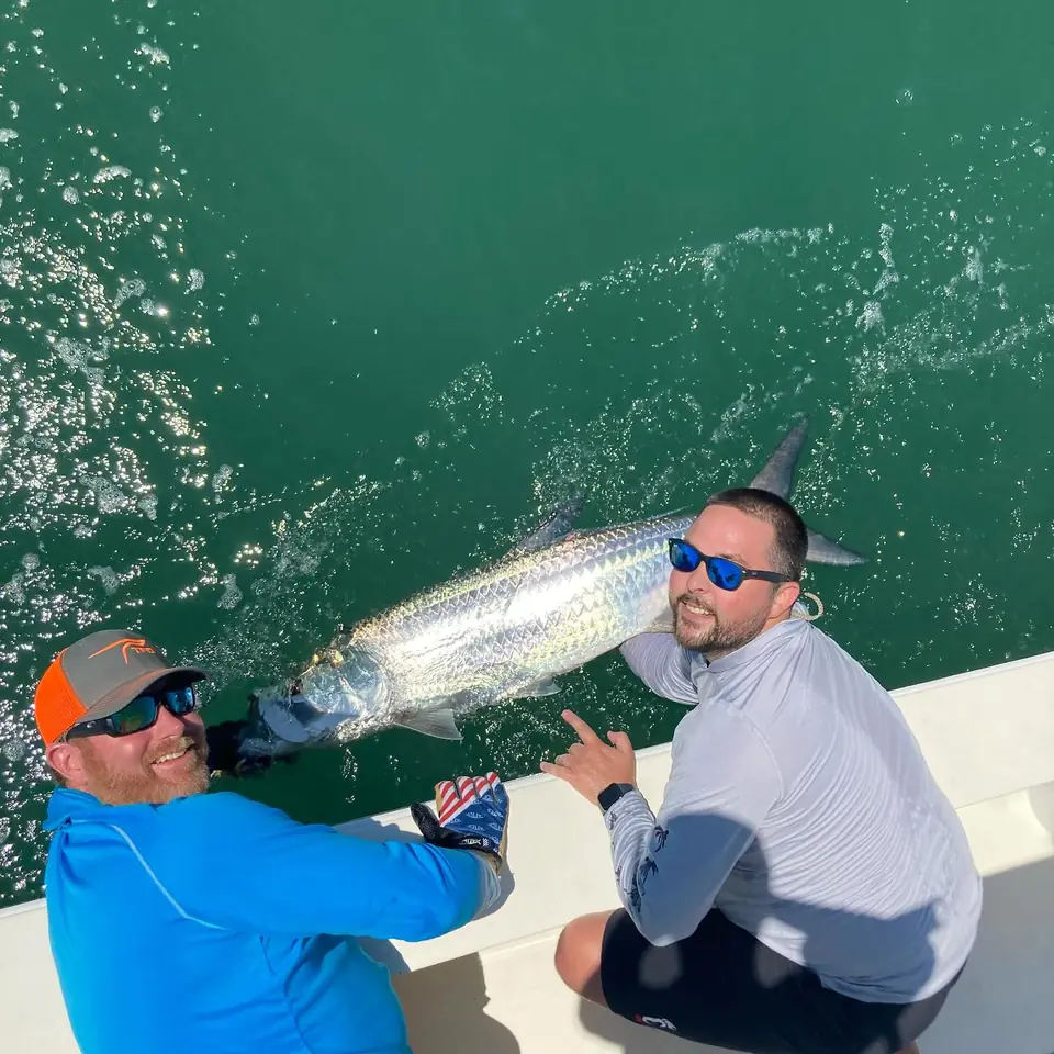 Anglers releasing a tarpon boatside on a Tampa Bay tarpon charter