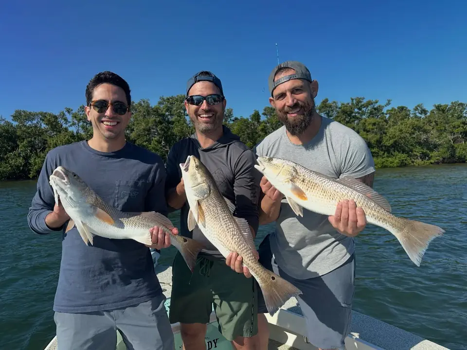 Three anglers each holding a redfish caught on a Big Daddy Sportfishing charter in Tampa Bay.