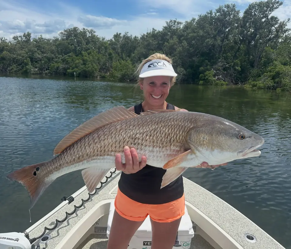 Woman holding a large redfish caught on an inshore charter in Tampa Bay with Big Daddy Sportfishing.