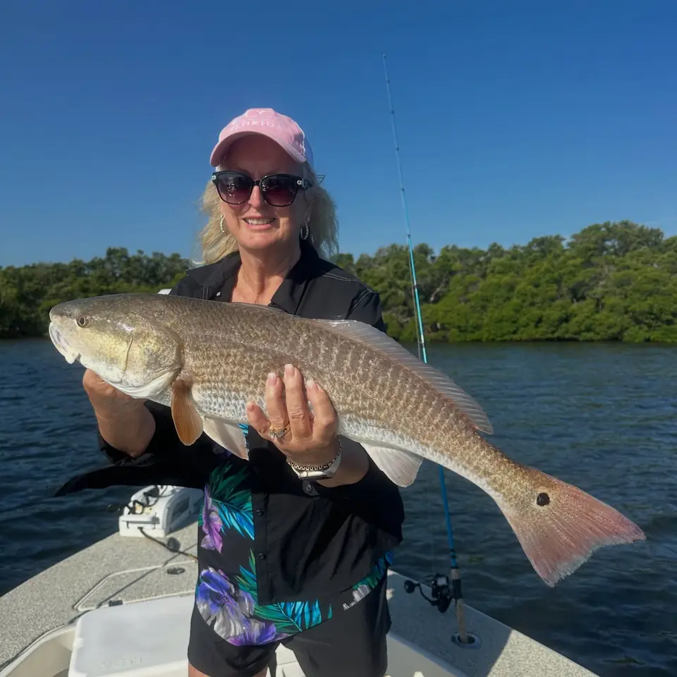Smiling woman holding a redfish caught on an inshore fishing charter in Tampa Bay with Big Daddy Sportfishing.